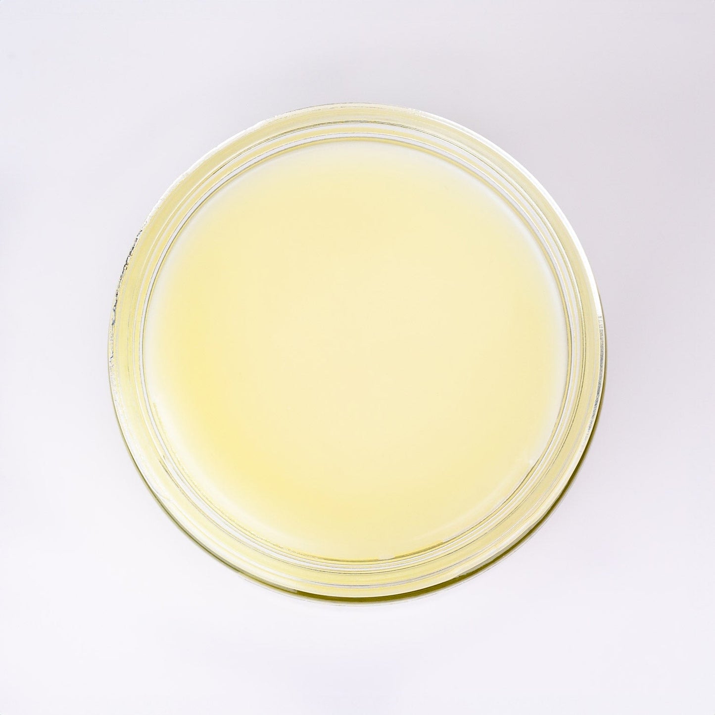 The White Label Unscented Tallow Balm (2oz or 9oz)